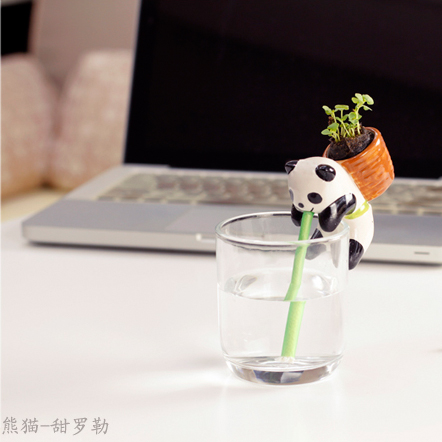 ECOEY渴渴吸里DIY桌面小植栽---熊猫（甜罗勒）