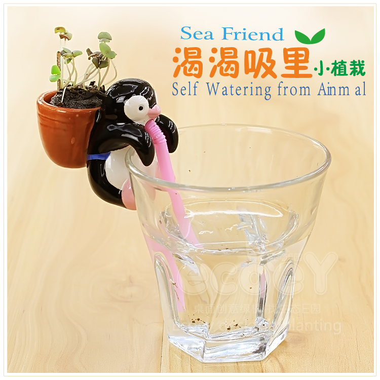 新款渴渴吸里小动物植物盆栽 不含杯子--企鹅（草莓）