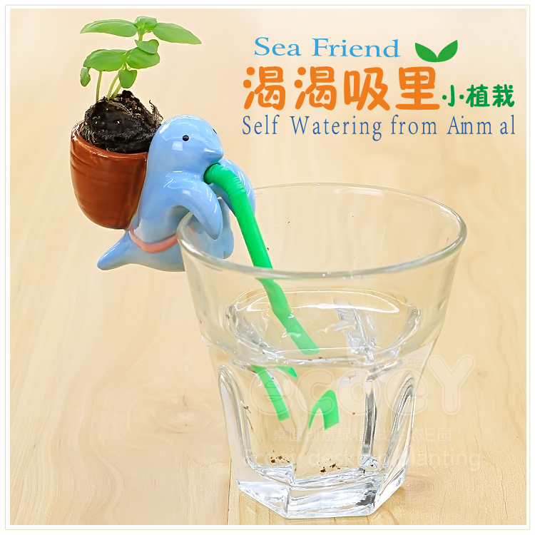 新款渴渴吸里小动物植物盆栽 不含杯子--小鸟（薄荷）