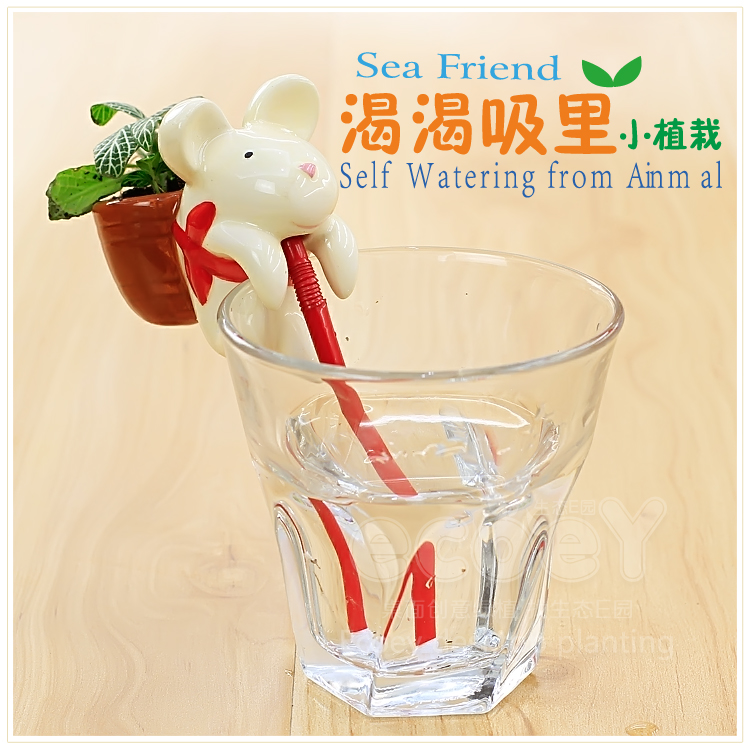 新款渴渴吸里小动物植物盆栽 不含杯子--鼠（甜罗勒）