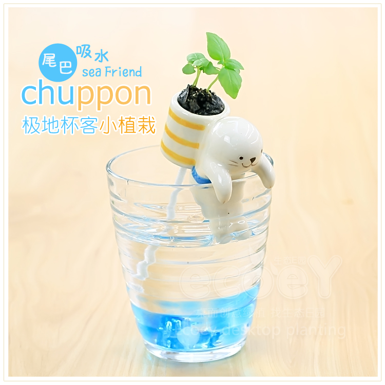 可爱极地杯客小动物植物盆栽 不含杯子--海豹（甜罗勒）