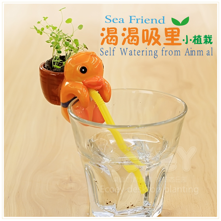 新款渴渴吸里小动物植物盆栽 不含杯子--鸭子（幸运草）